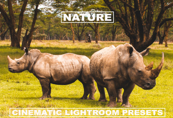 Download Cinematic Lightroom Presets Nature Tone - Lightroom presets Collection