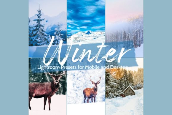 Download 10 Winter Wonderland Lightroom Presets - Lightroom presets Collection