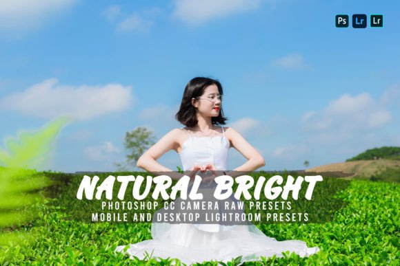 Download 10 Natural Bright Lightroom Presets - Lightroom presets Collection