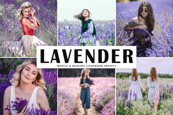 Download Lavender Pro Lightroom Presets - Lightroom presets Collection