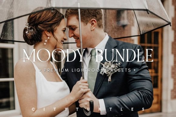 Download MOODY BUNDLE Portrait Lightroom Presets - Lightroom presets Collection