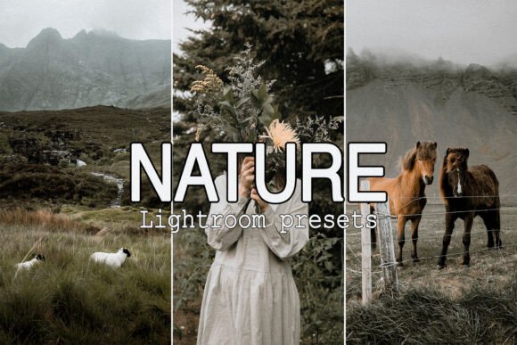 Download 9 Moody Nature Lightroom Presets - Lightroom presets Collection