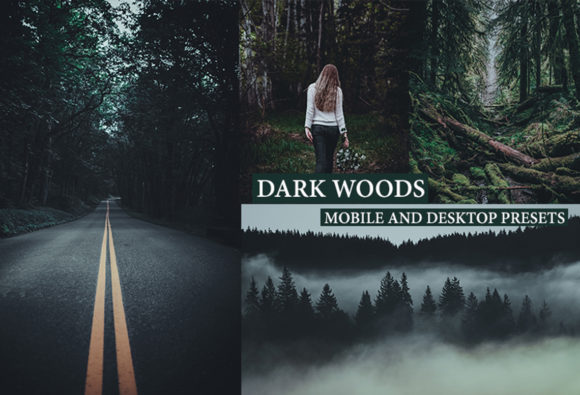 Download Cinematic Dark Woods Lightroom Presets - Lightroom presets Collection