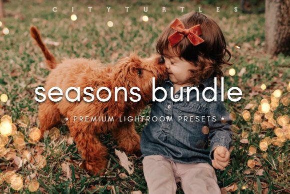 Download SEASONS BUNDLE Lightroom Presets - Lightroom presets Collection