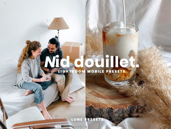 Download Nid Douillet Lightroom Presets - Lightroom presets Collection