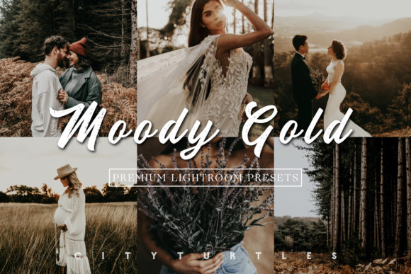 Download Moody Gold Rustic Lightroom Presets - Lightroom presets Collection