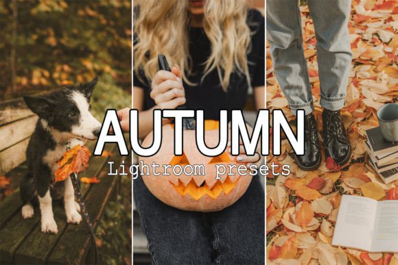 Download 9 Warm Tone Fall Lightroom Presets - Lightroom presets Collection