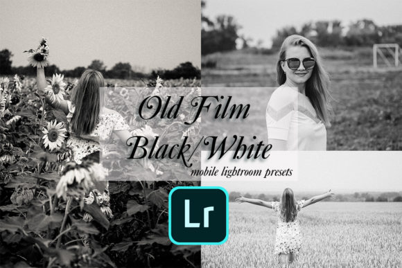 Download 10 Old Film BlackWhite Lightroom Presets - Lightroom presets Collection