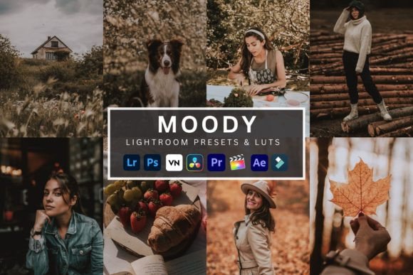 Download Moody Lightroom Presets &amp; Luts - Lightroom presets Collection