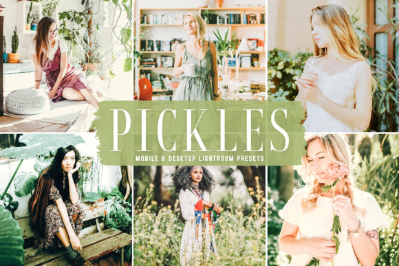 Download Pickles Pro Lightroom Presets - Lightroom presets Collection