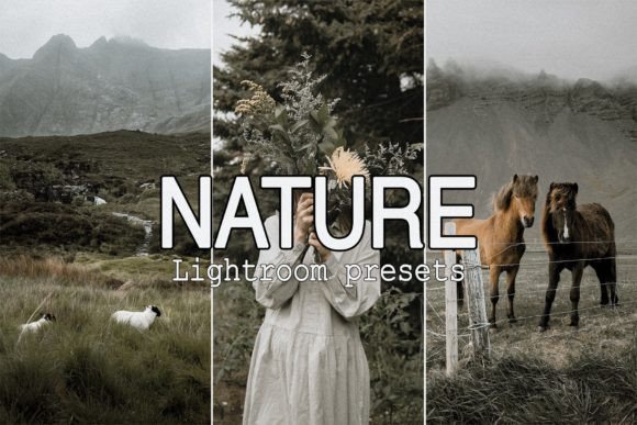 Download 9 Nature Lightroom Presets - Lightroom presets Collection