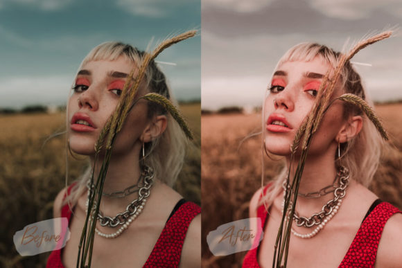 Download 6 Peach Mobile Lightroom Presets - Premium Resources