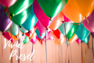 Download Lightroom Presets - Vivid Bundle - Lightroom presets Collection