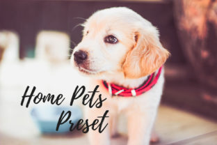 Download Lightroom Presets - Home Pets - Lightroom presets Collection