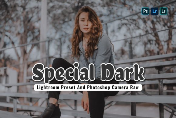 Download 15 Special Dark Lightroom Presets - Lightroom presets Collection