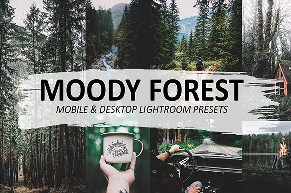 Download Moody Forest Lightroom Presets - Lightroom presets Collection