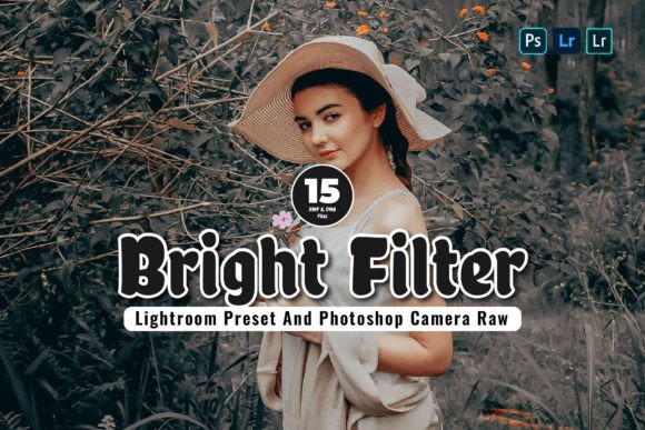 Download 15 Bright Filter Lightroom Presets - Lightroom presets Collection