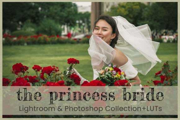 Download Princess Bride Lightroom Presets Desktop - Lightroom presets Collection